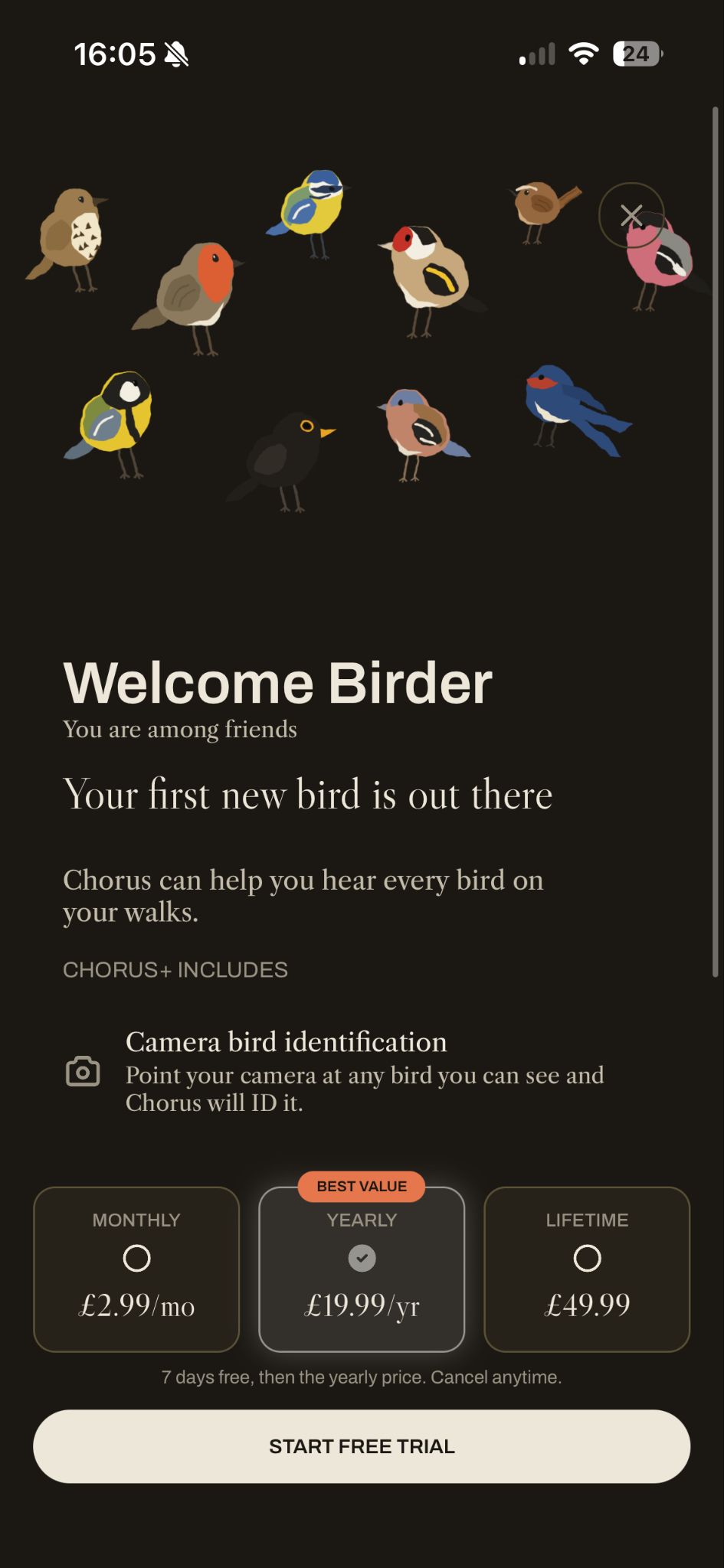 Chorus' basic paywall with no personalisation