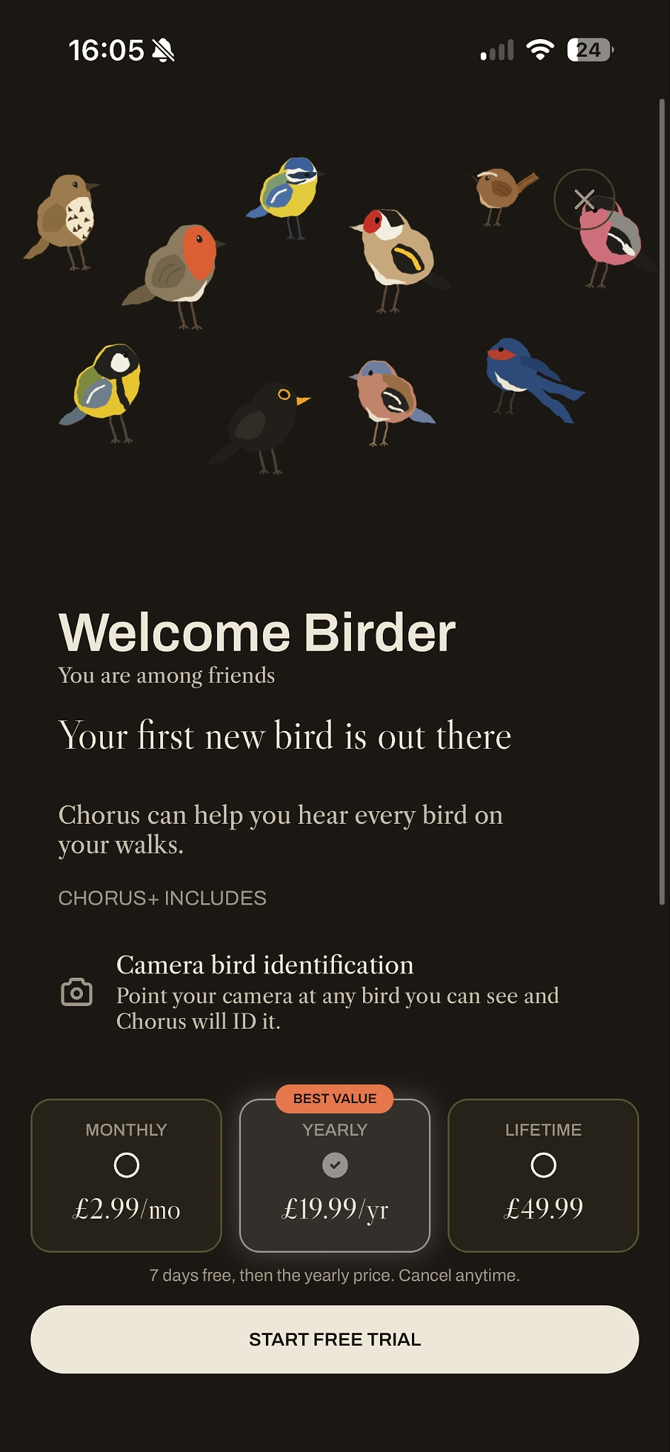 Chorus' basic paywall with no personalisation