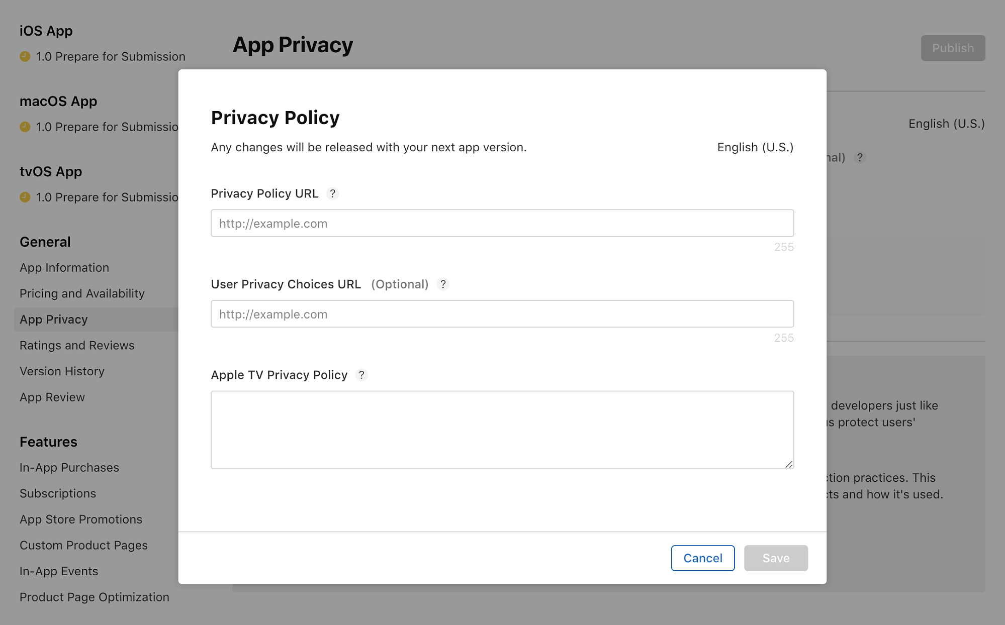 App Store Connect privacy policy fields