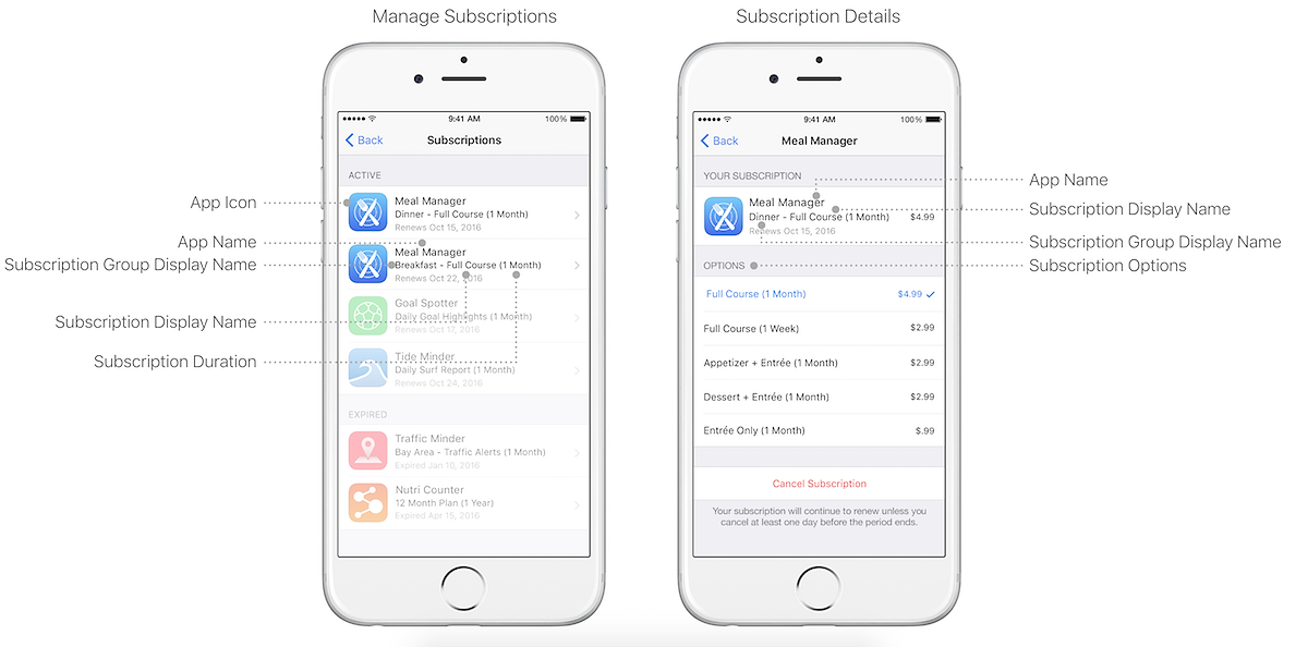 ios subscription groups explained