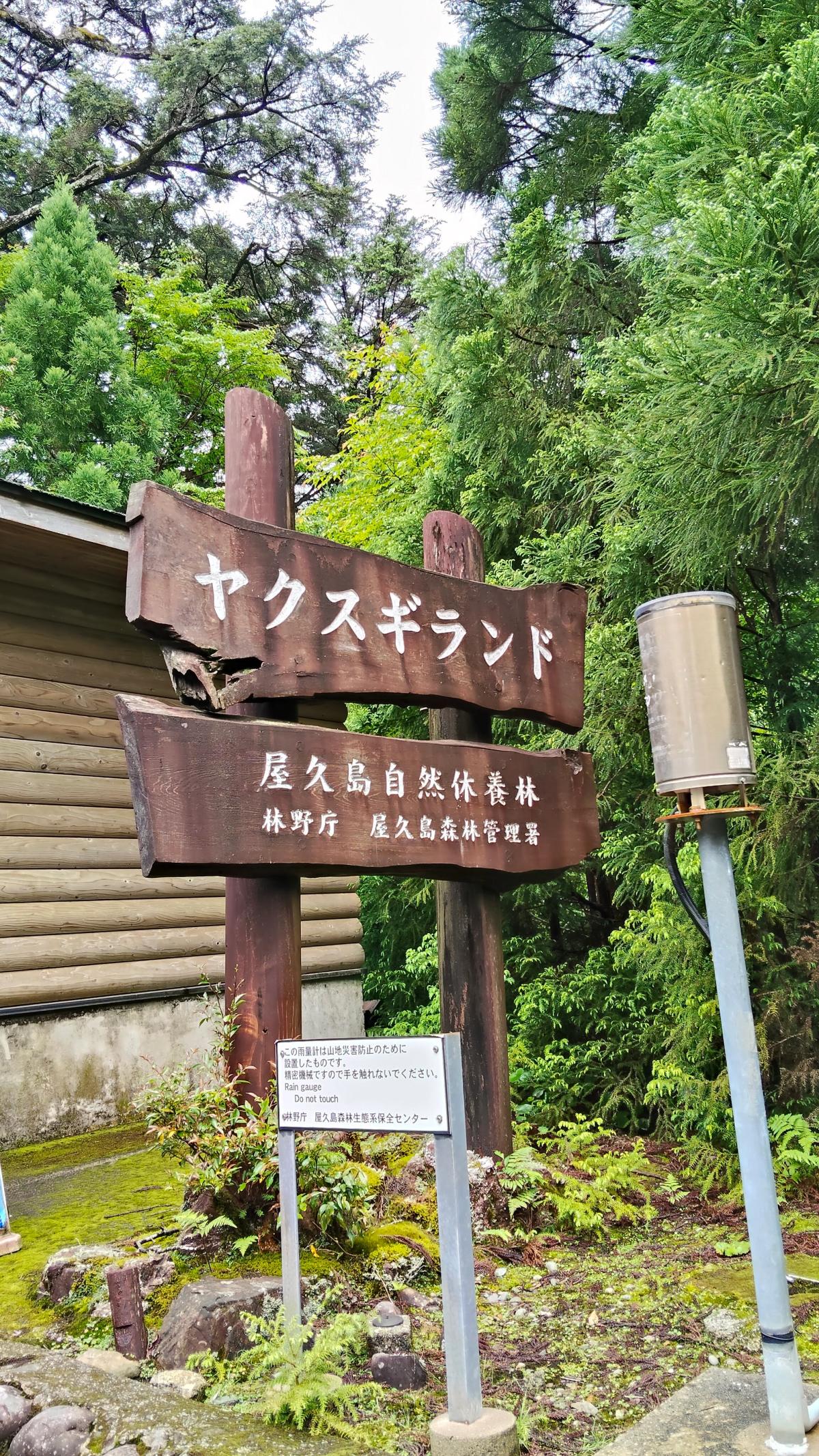 森の入口に立つ「ヤクスギランド」の看板