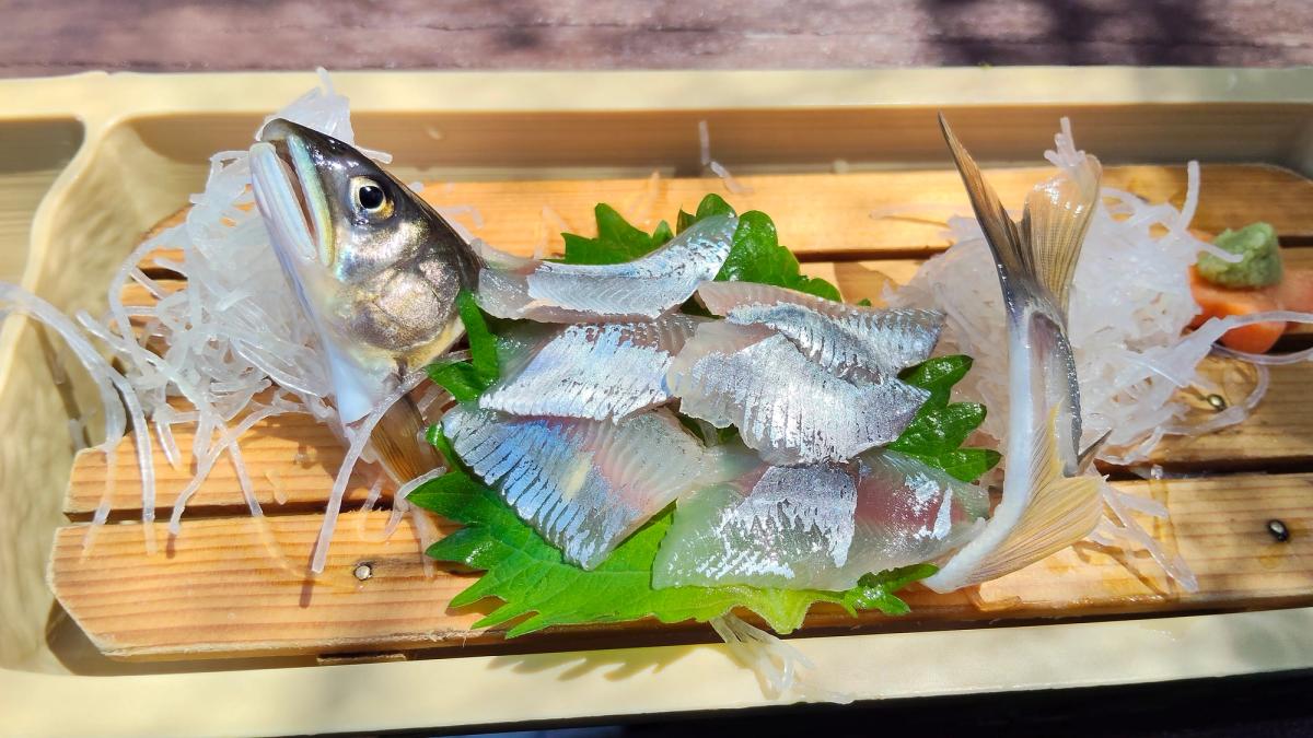竹の器に盛られた鮎のお造り