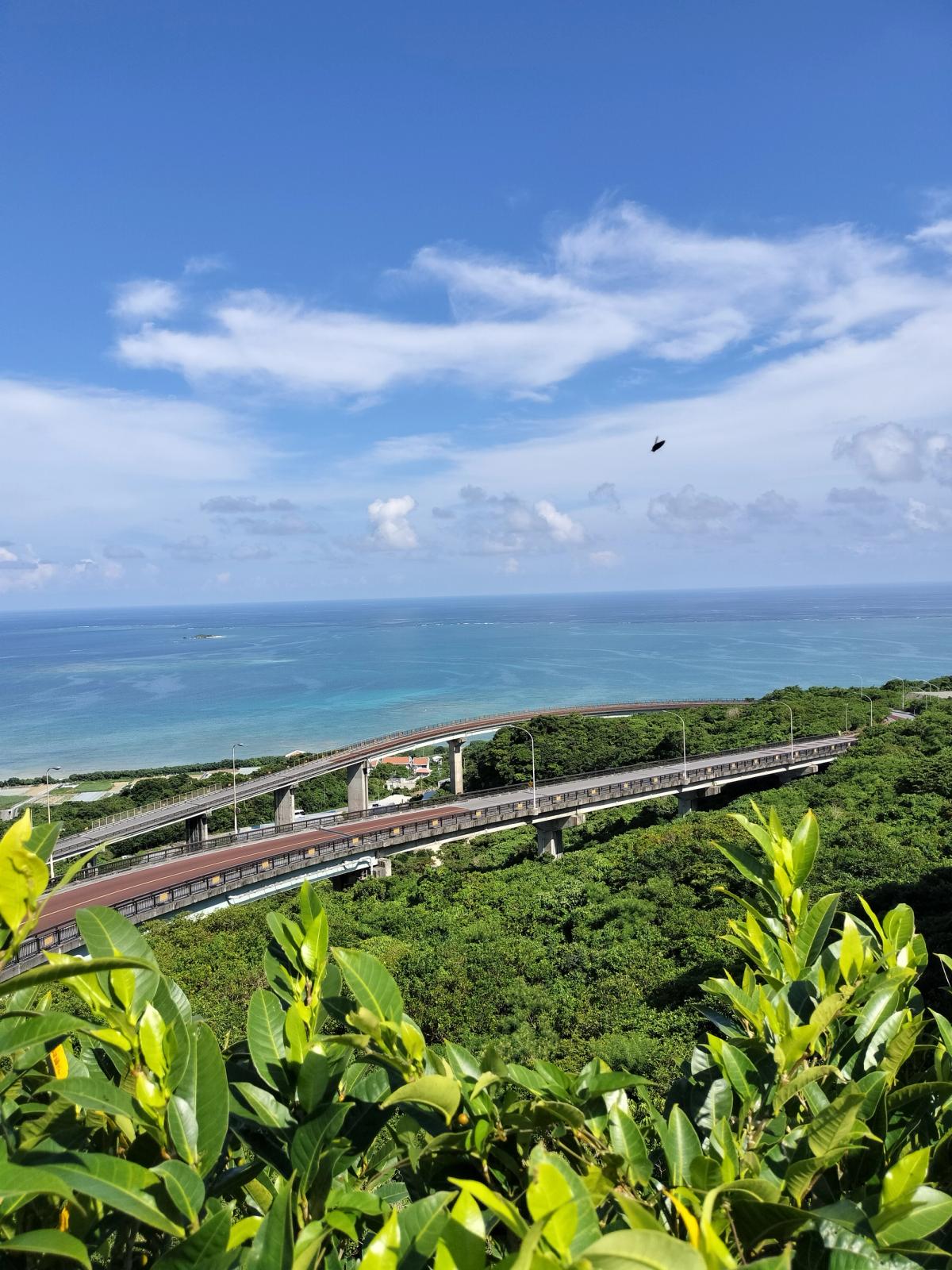 高台から見下ろすニライカナイ橋