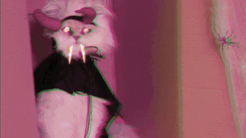Content Gallery Image - add alt text