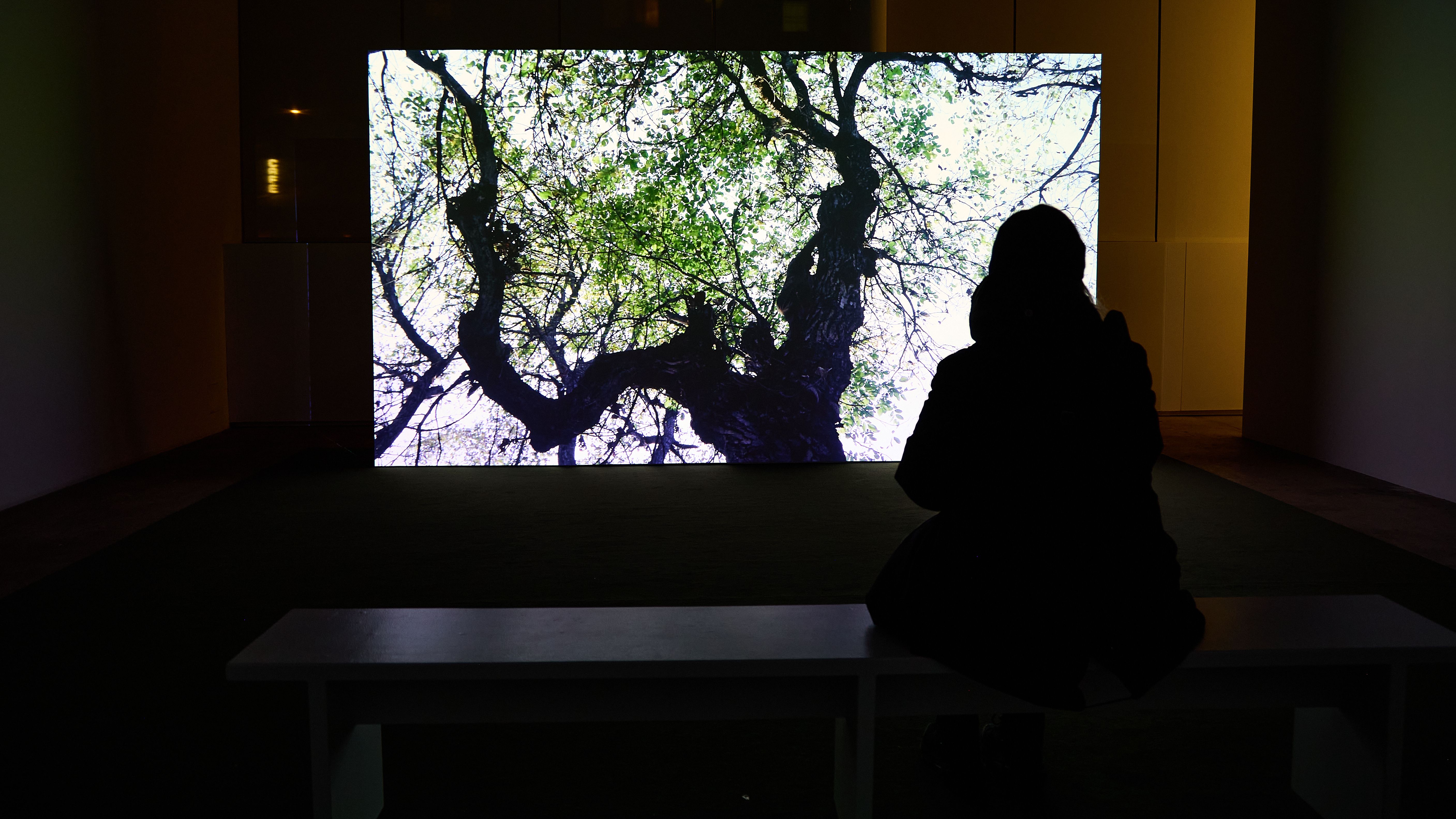 Saodat Ismailova: Amanat