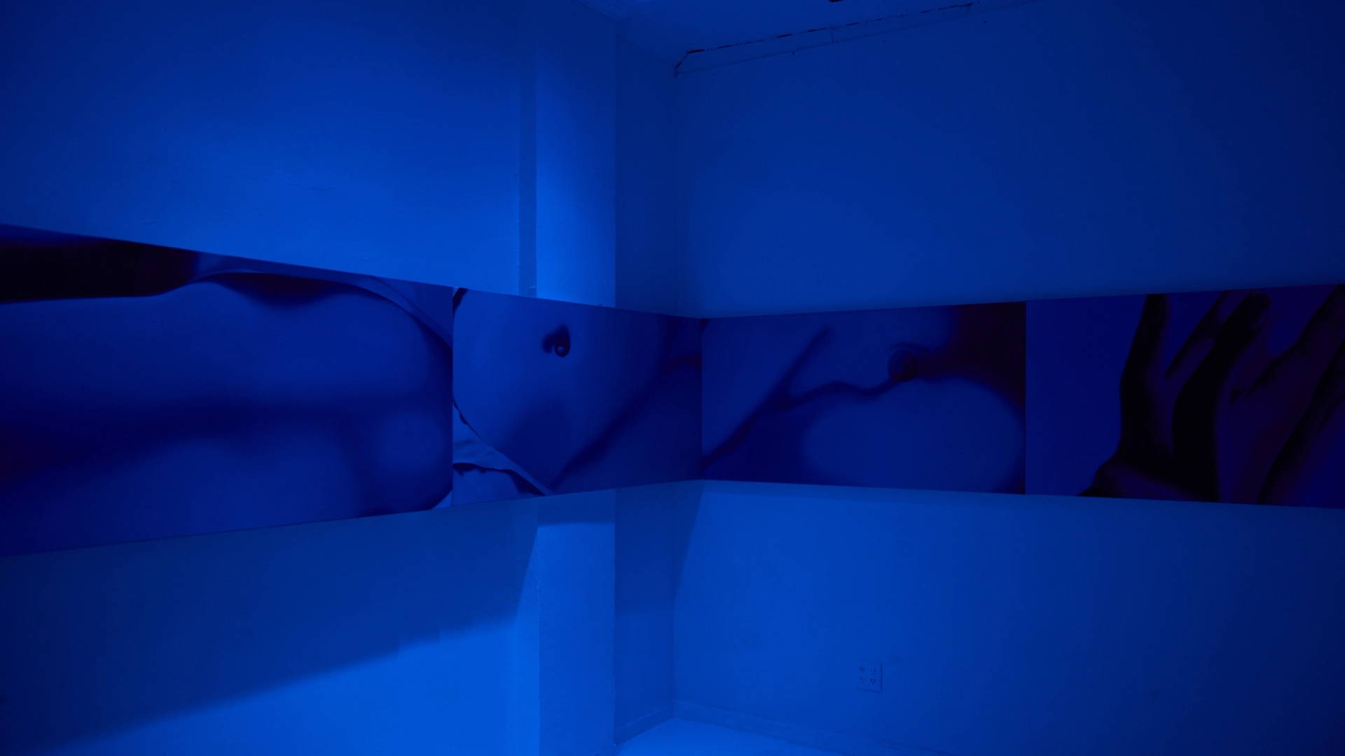 Carousel Image