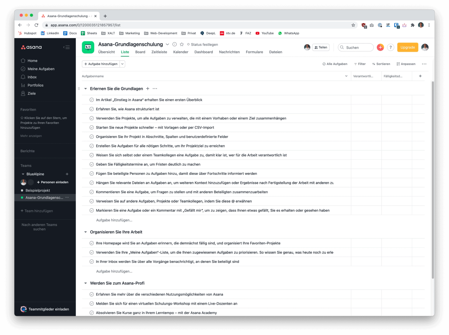 Asana Projektmanagement