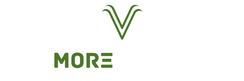 MoreValue Logo