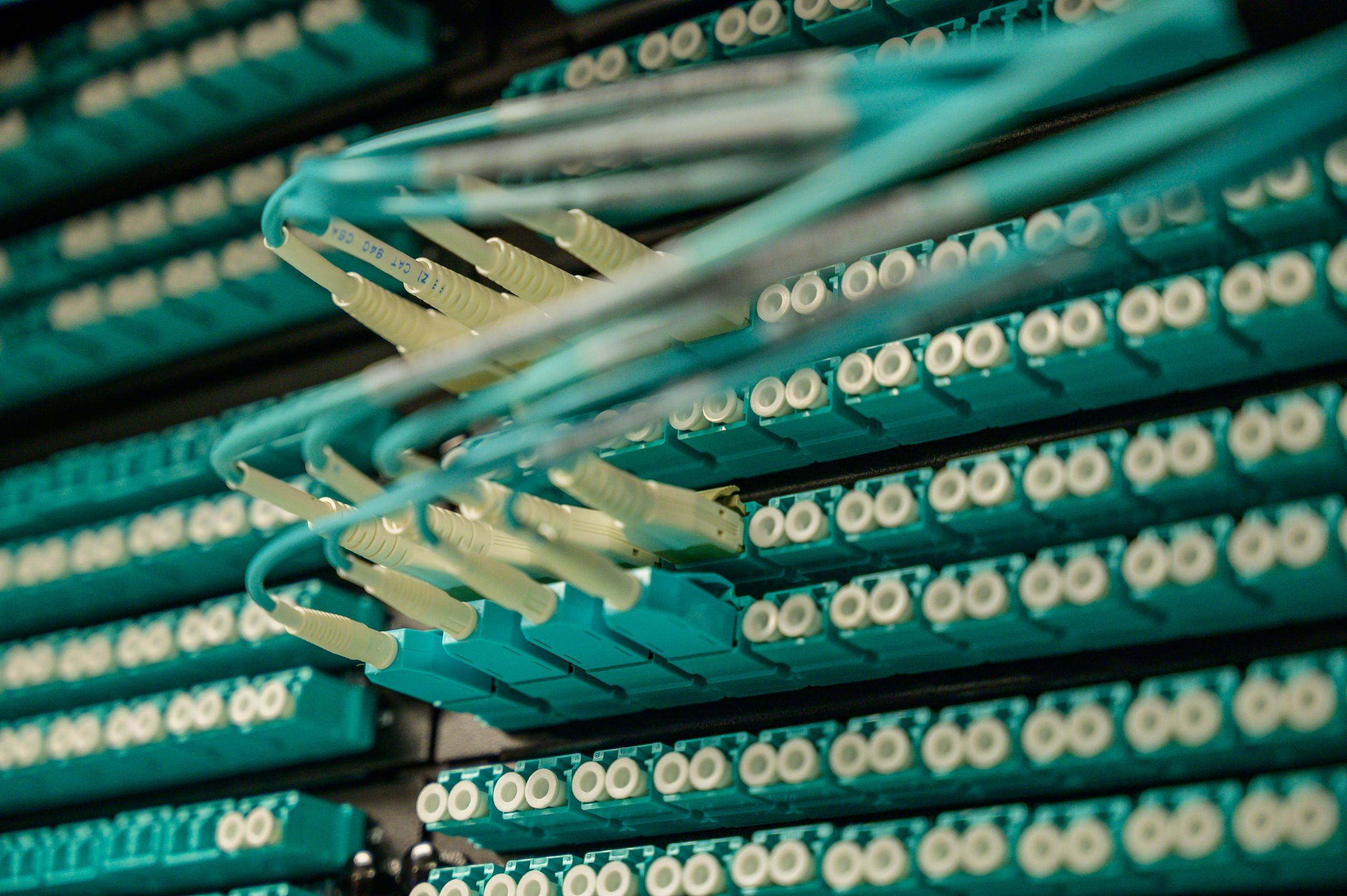 Nahaufnahme von Glasfaserkabeln, die in einem Rechenzentrum an ein Patchpanel angeschlossen sind