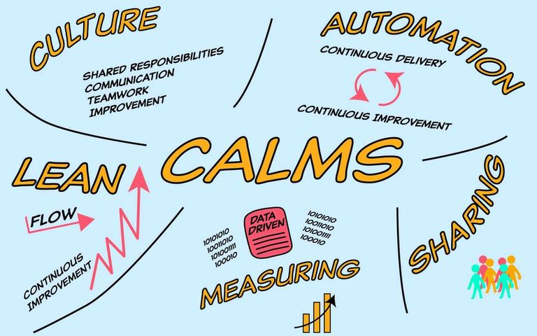 CALMS Framework