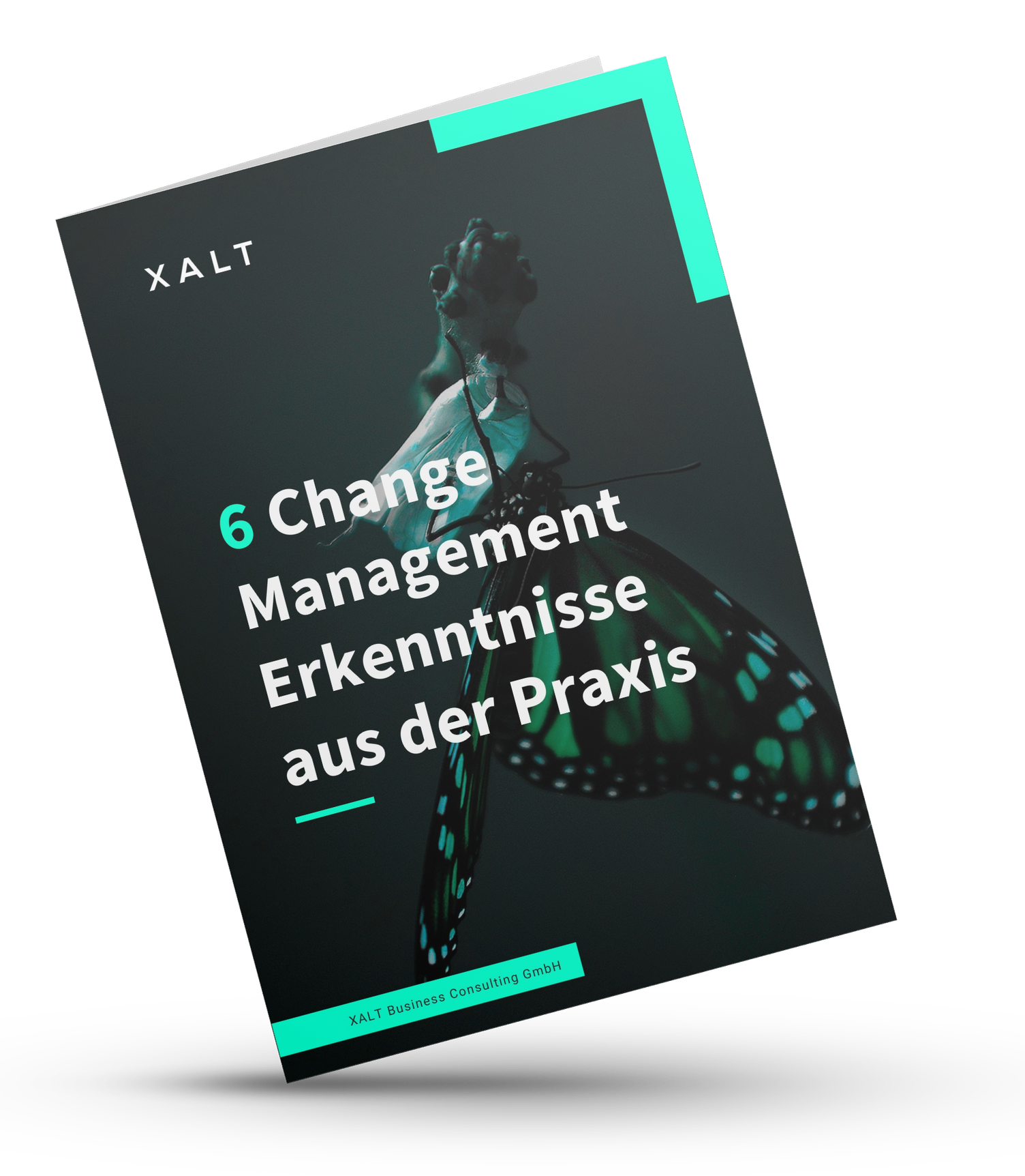 Titelblatt des Whitepapers "6 Change Management Erkenntnisse aus der Praxis" von XALT, mit einem Schmetterling, der aus seiner Puppe schlüpft