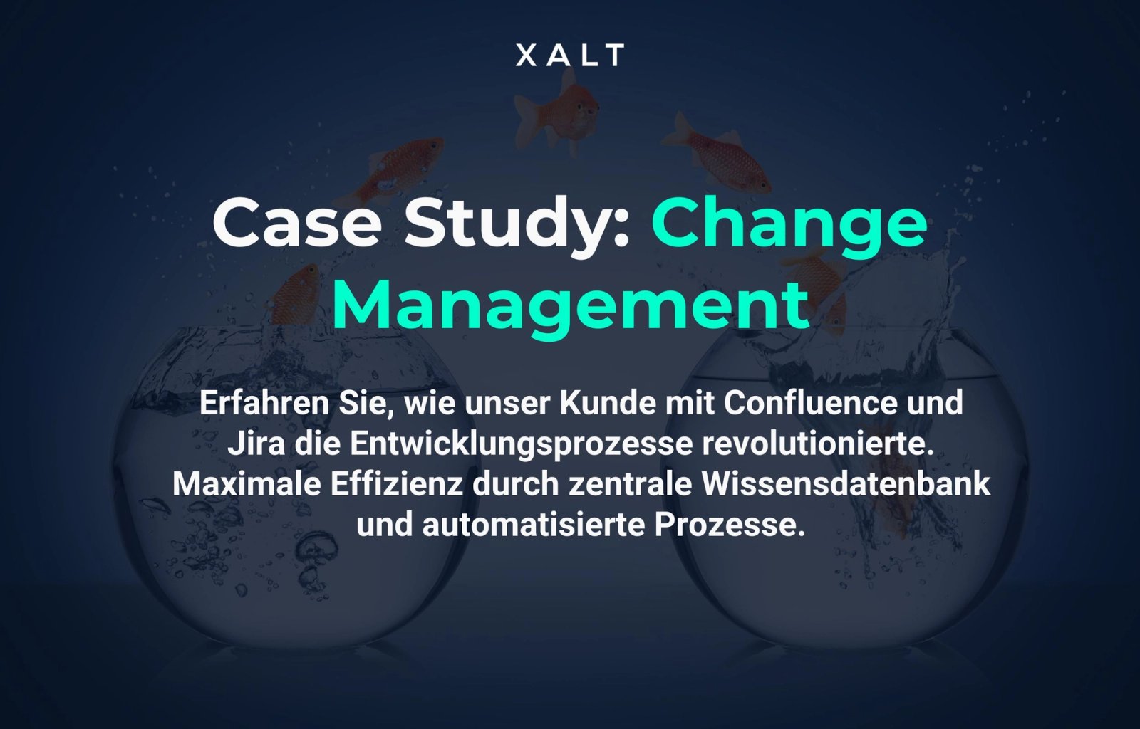 Hero-Hintergrundbild der Erfolgsgeschichte Change Management für Entwickler-Self-Service