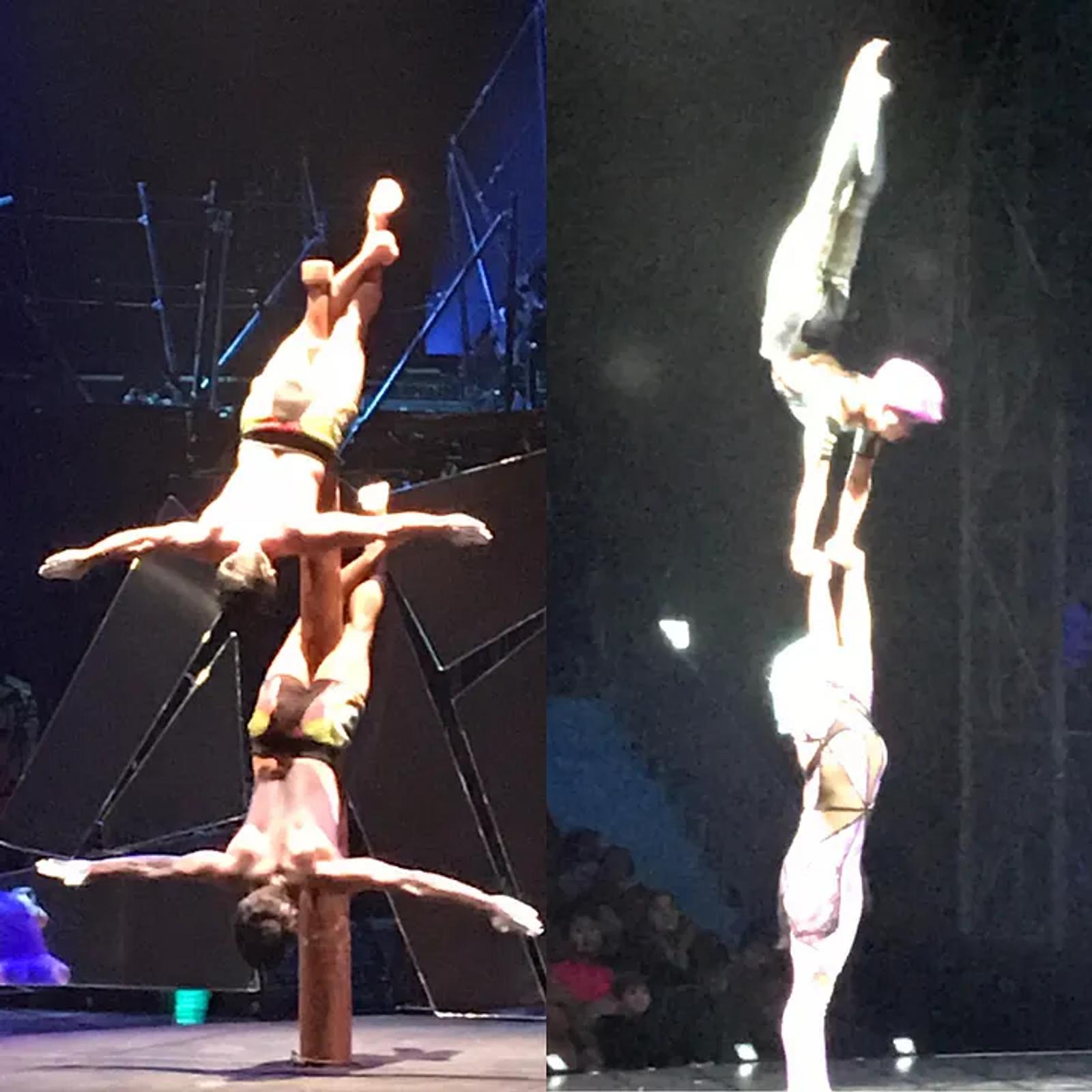 Indian pole and floor gymnastics acts — Cirque du Soleil