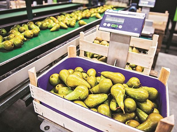 CityMall Reimagines Retail for India’s Next 500 Million Consumers