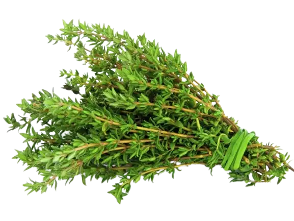 An image of thyme leaves