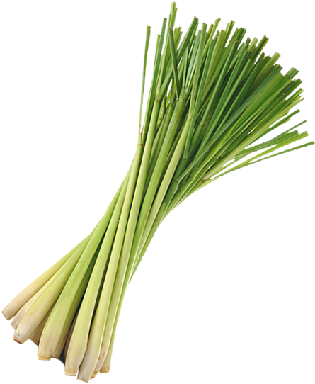 An image of lemongrass