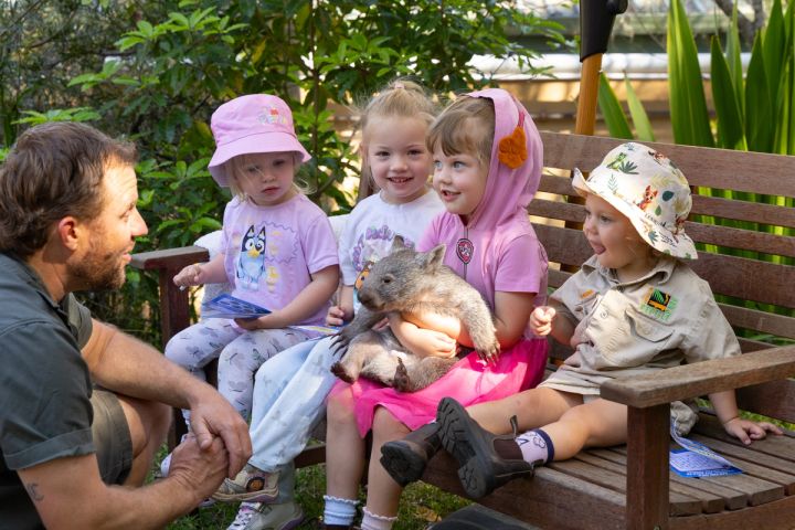 Orphaned Wombat Sunny Hits 5kg Milestone | Australian Reptile Park
