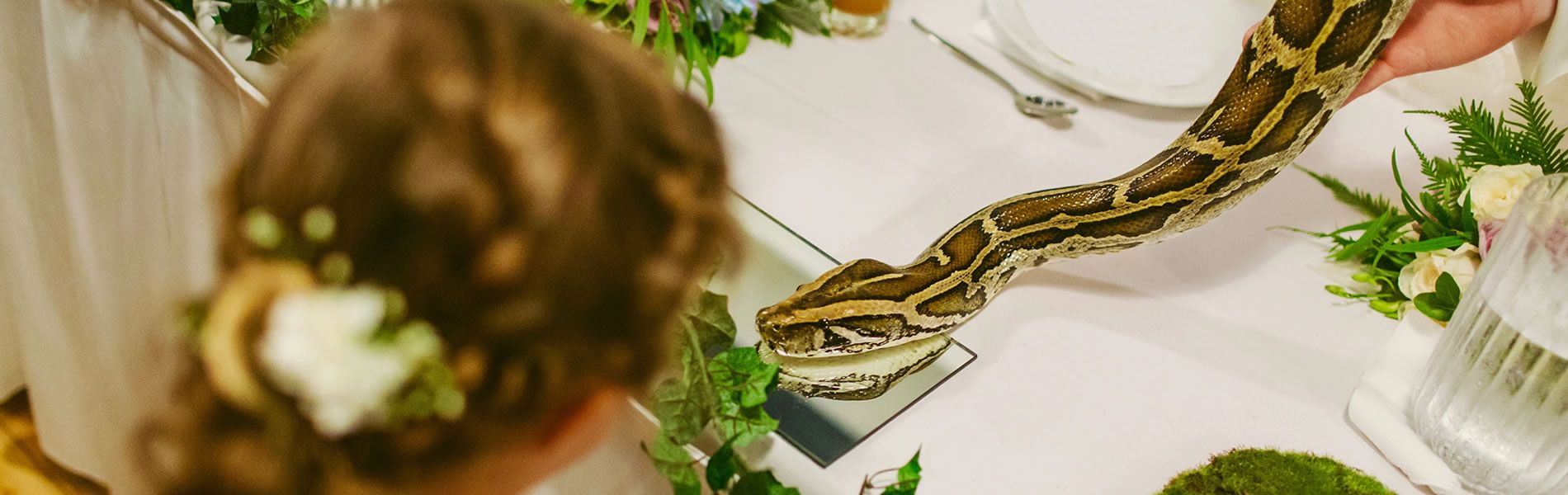 Weddings at the Australian Reptile Park