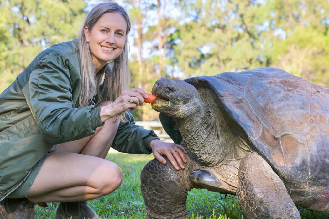 animal encounters