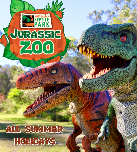Jurassic Zoo Card Image