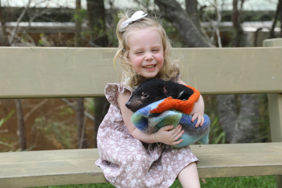 Animal Encounters Tasmanian Devil