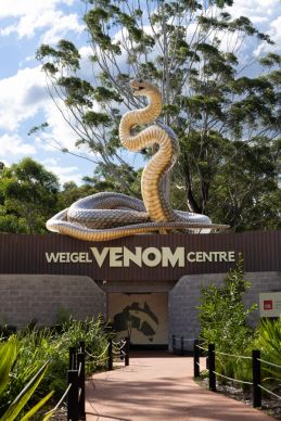 weigel venom centre at the australian reptile park