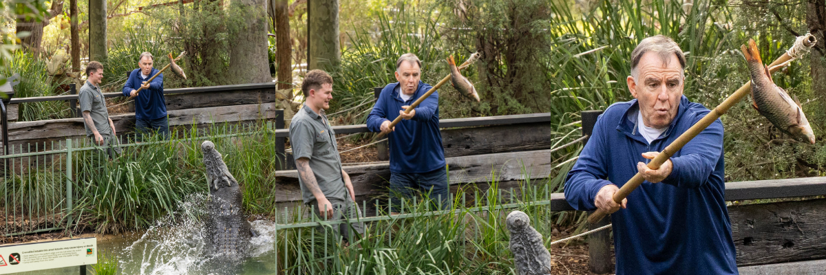 Mayor MaKinna Feeding Elvis the Saltwater Croc