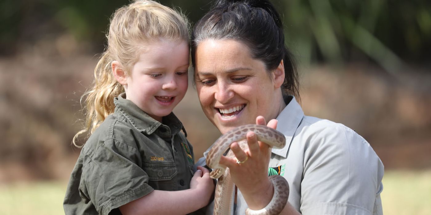 Reptiles as pets