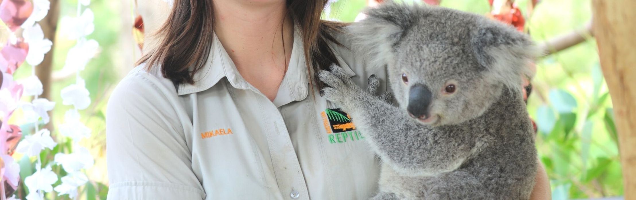 Elsa the Koala Celebrates Second Birthday!