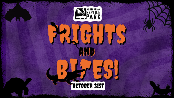 Halloween Frights and Bites Night at Australian Reptile Park