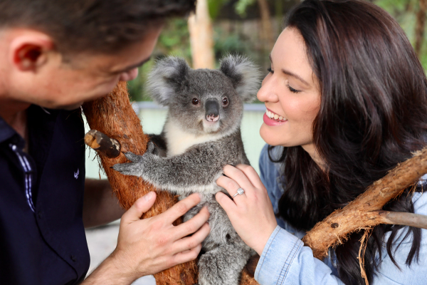 Couple patting a koala at the australian reptile park
