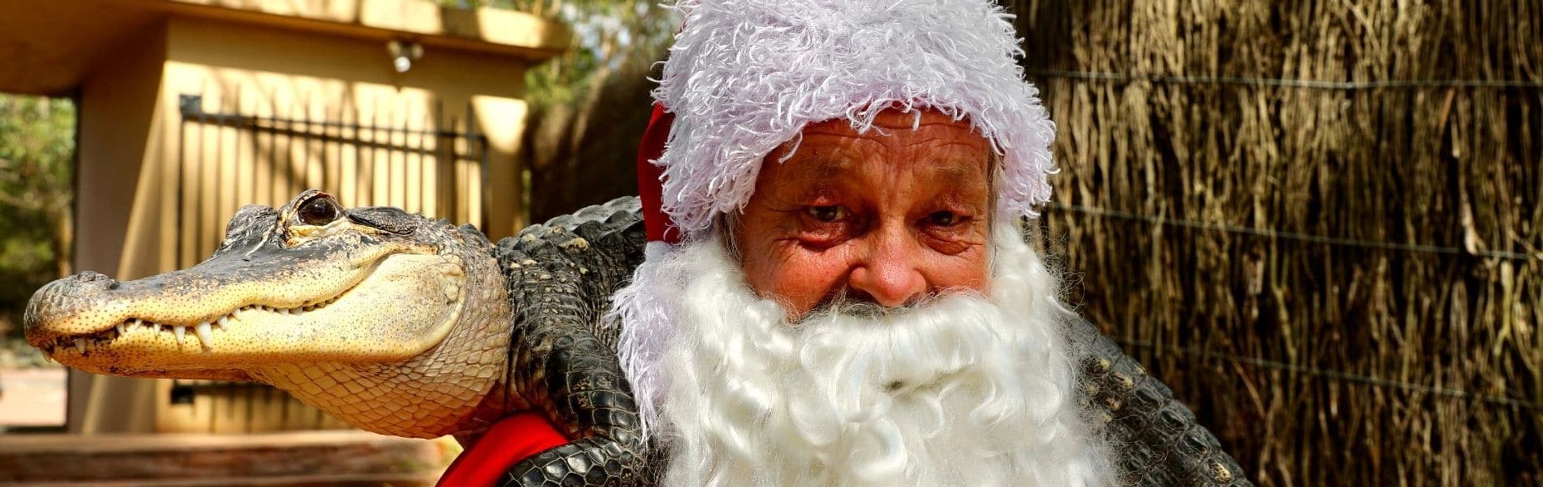 Santa Visits Animals at the Australian Reptile Park!