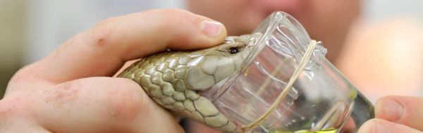 Adaptions, Sustainability, and Ecosystems