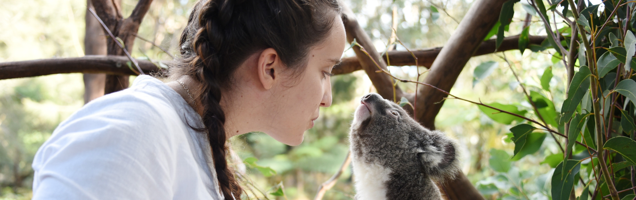 Adult Keeper For a Day