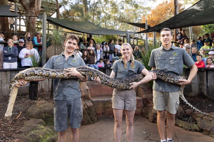 World Snake Day Weigh-In | Australian Reptile Park