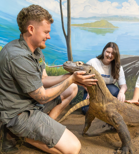 Kraken the Komodo Dragon