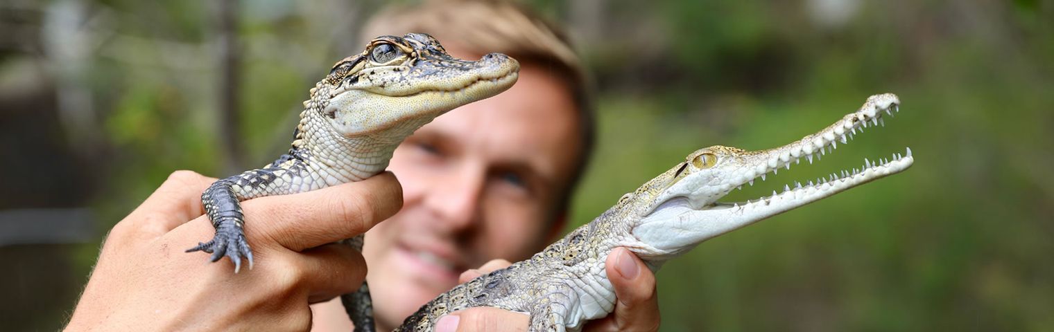 Get up close with Australian and exotic animals on a private Behind the Scenes Tour at the Australian Reptile Park!