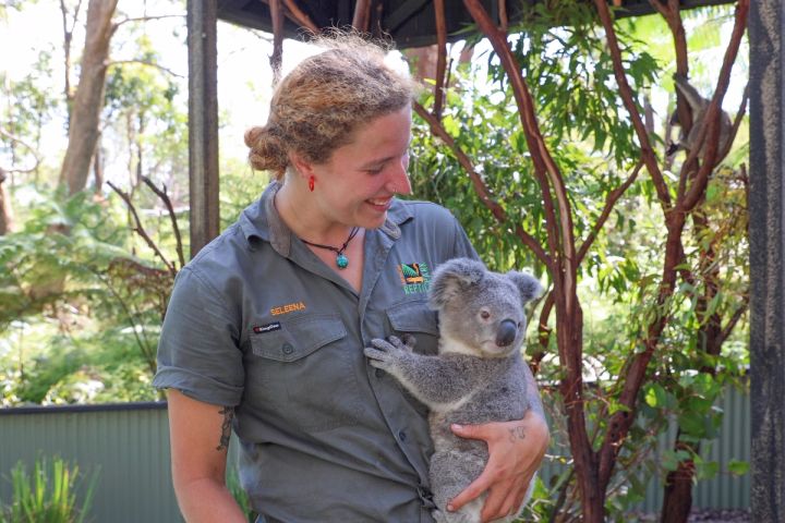 EDGAR THE KOALA JOEY GOES TO KOALA PRESCHOOL