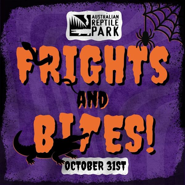 Frights & Bites Night