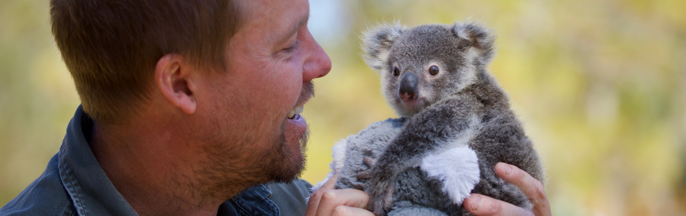 We're Celebrating Pixie the Koala's First Birthday