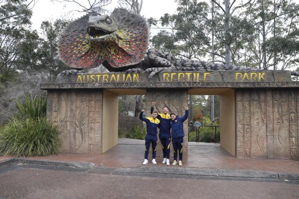 central coast mariners players at the australian reptile park