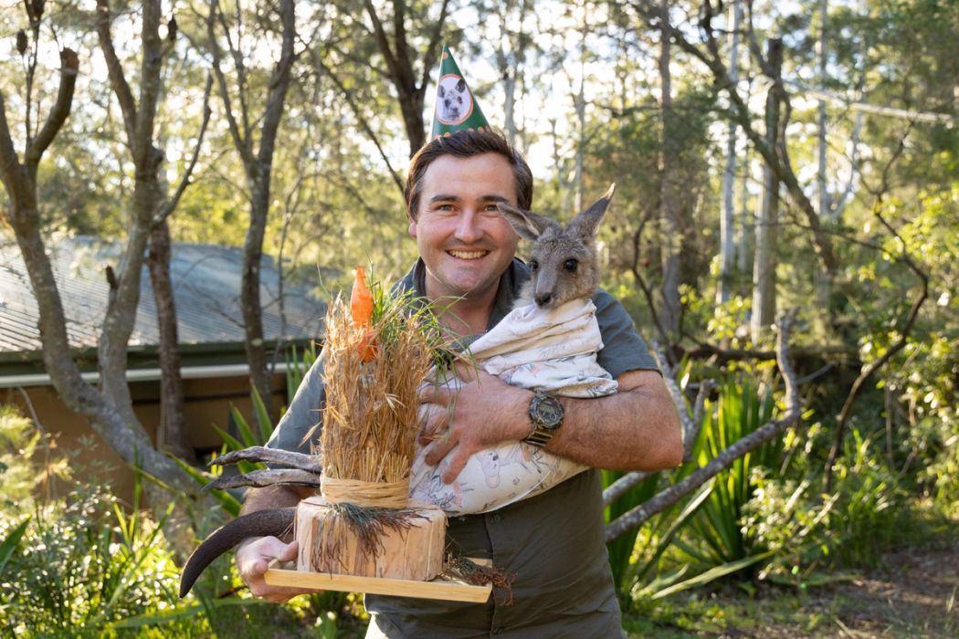 Orphaned Kangaroo Joey Roosta Celebrates 1st Birthday