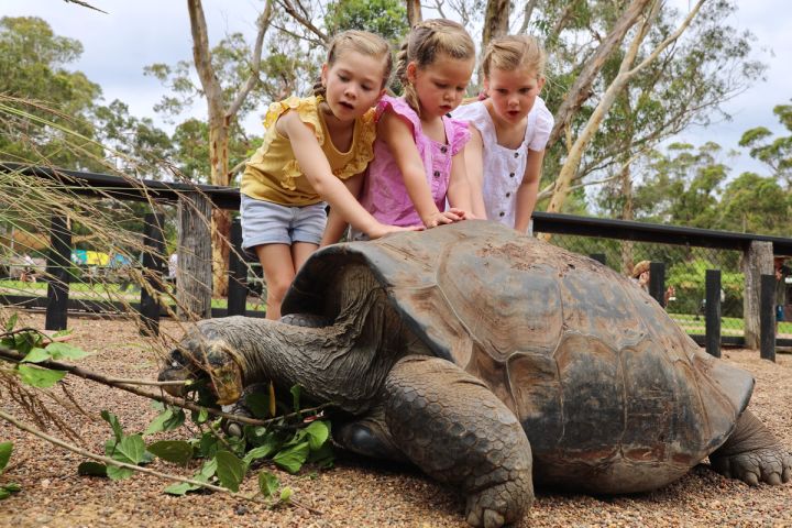 At the Australian Reptile Park, our aim is to make education fun and interactive for all students who visit.