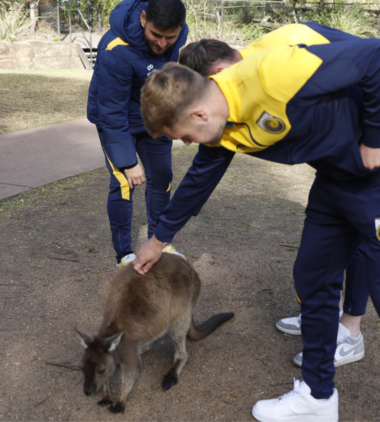 CC Mariners patting a kangaroo