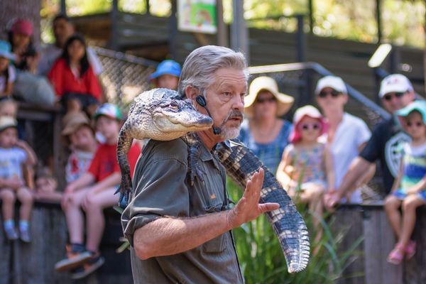 The Reptile Show at the Australian Reptile Park