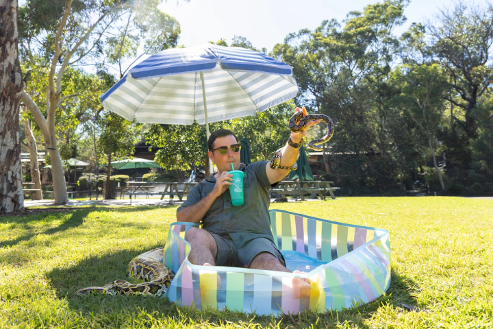 Zookeeper sitting in paddle pool with two snakes