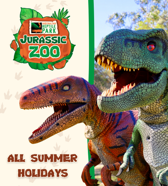 Jurassic Zoo Card Image