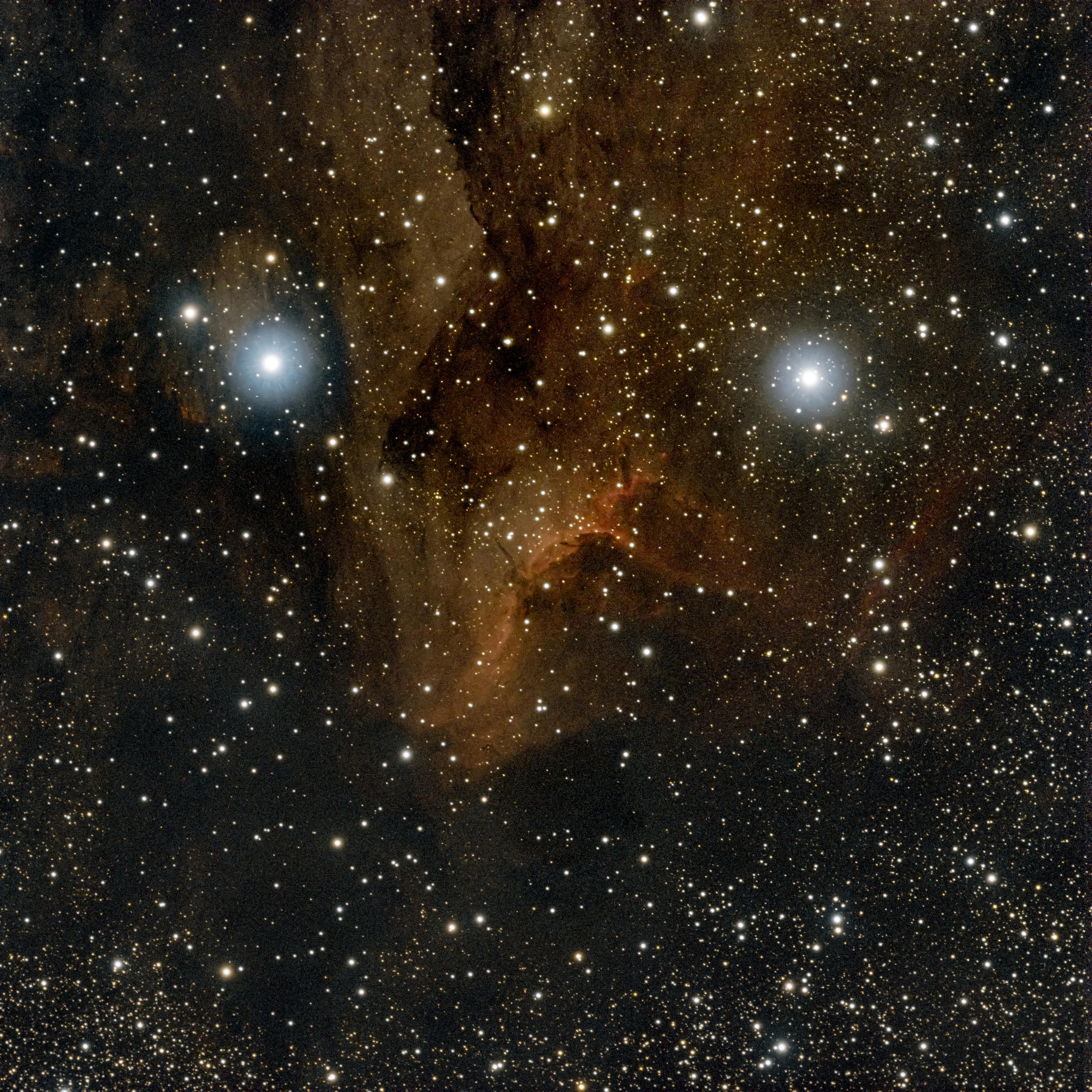 Pelican Nebula