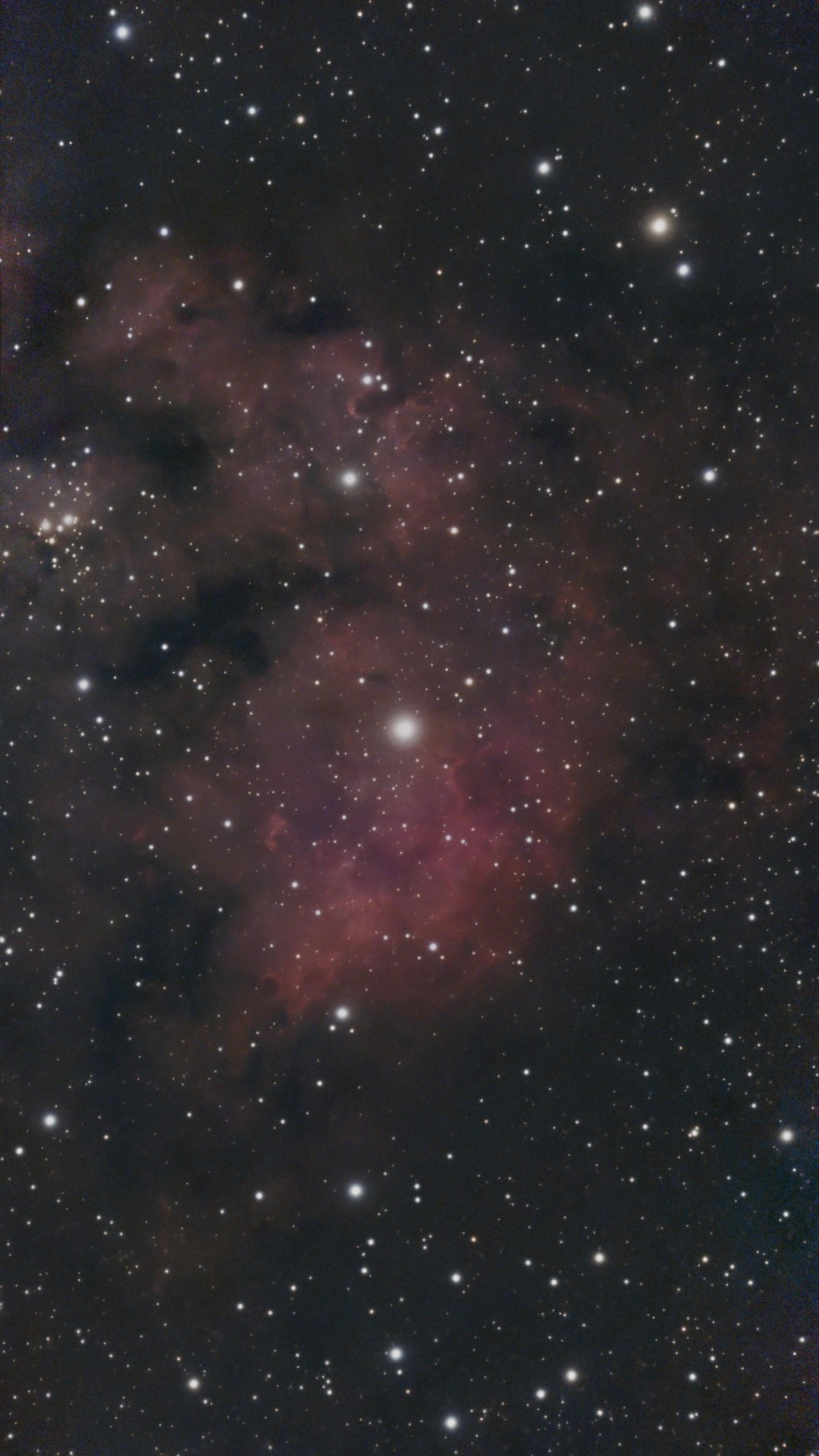 Teddy Bear Nebula — 25 Jul 2026