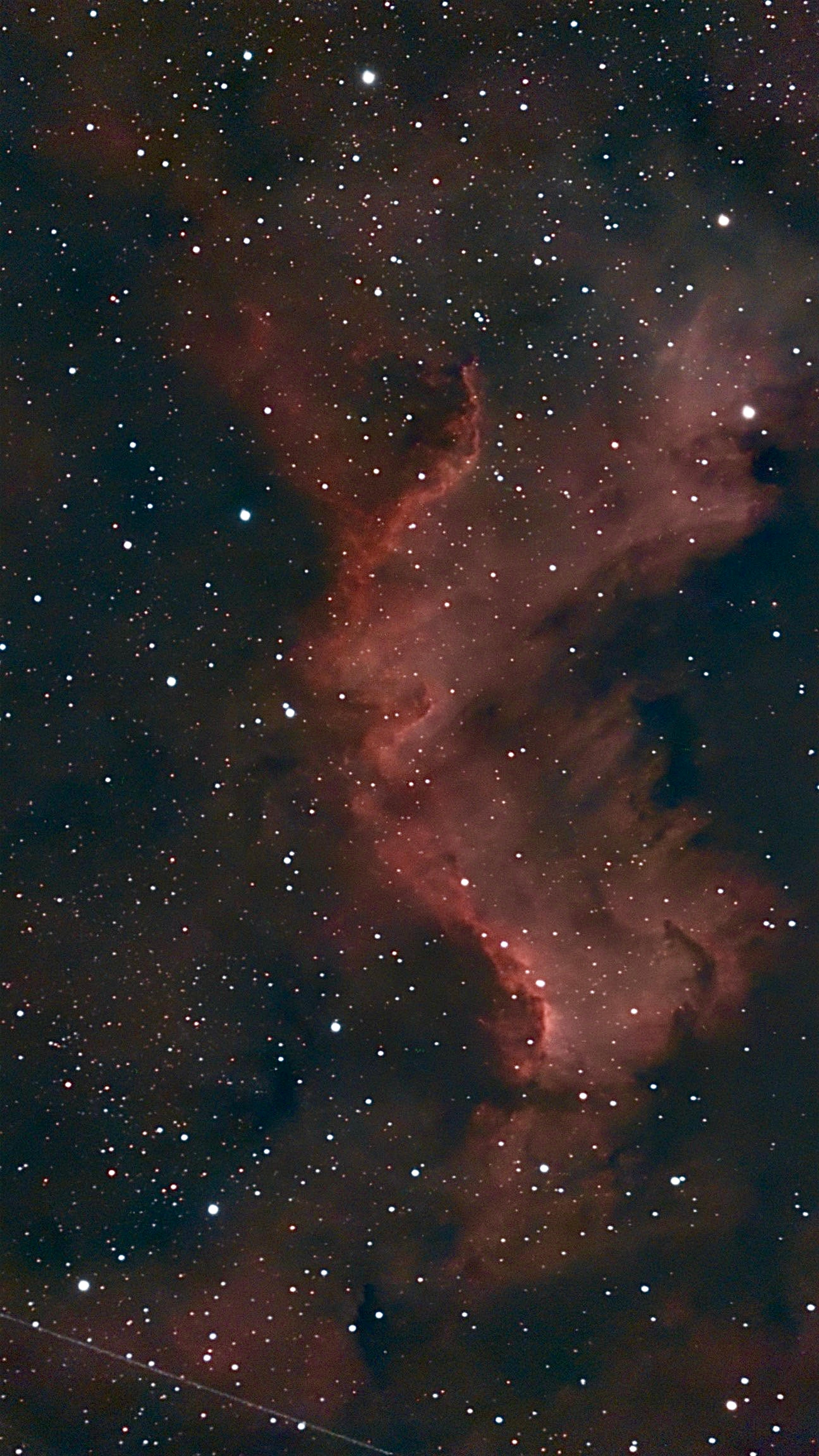 North America Nebula — 27 Jul 2026